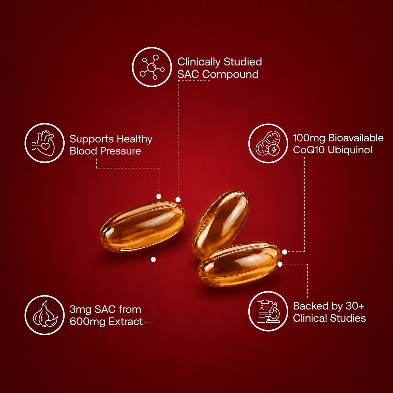 Wellvare Aged Garlic Extract Softgels